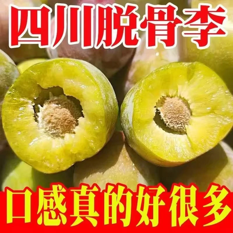 【产地直发】5斤半边红脱骨李新鲜采现采脆甜可口新鲜果园发货