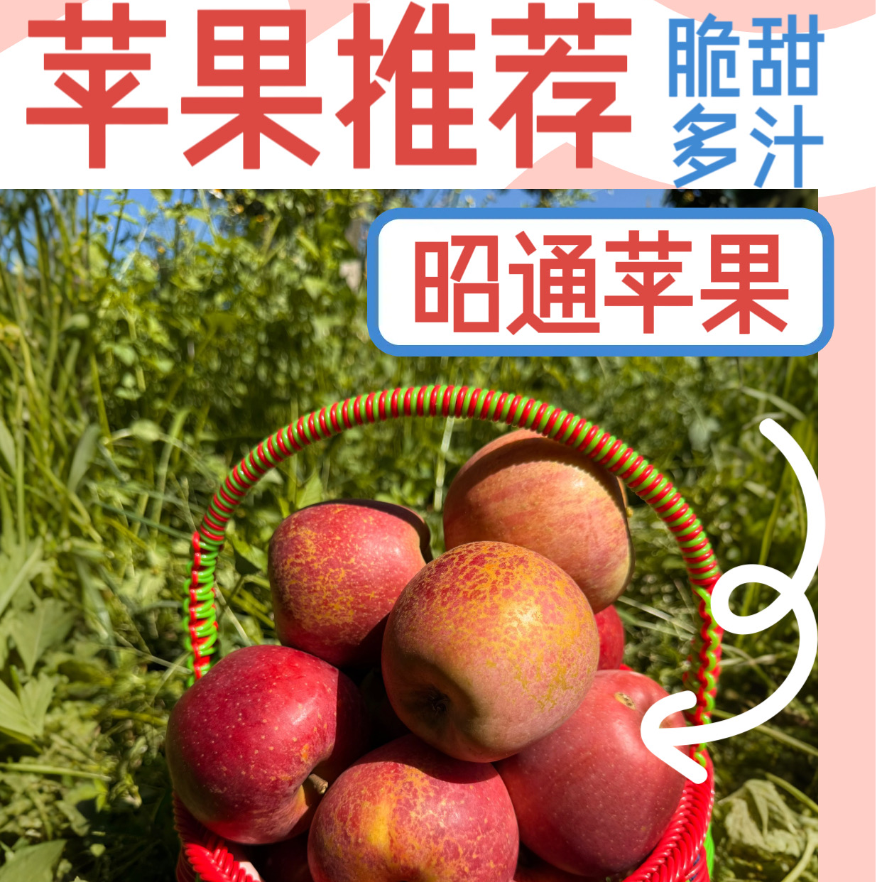 云南昭通正宗冰糖心丑苹果新鲜现摘脆甜多汁营养水果