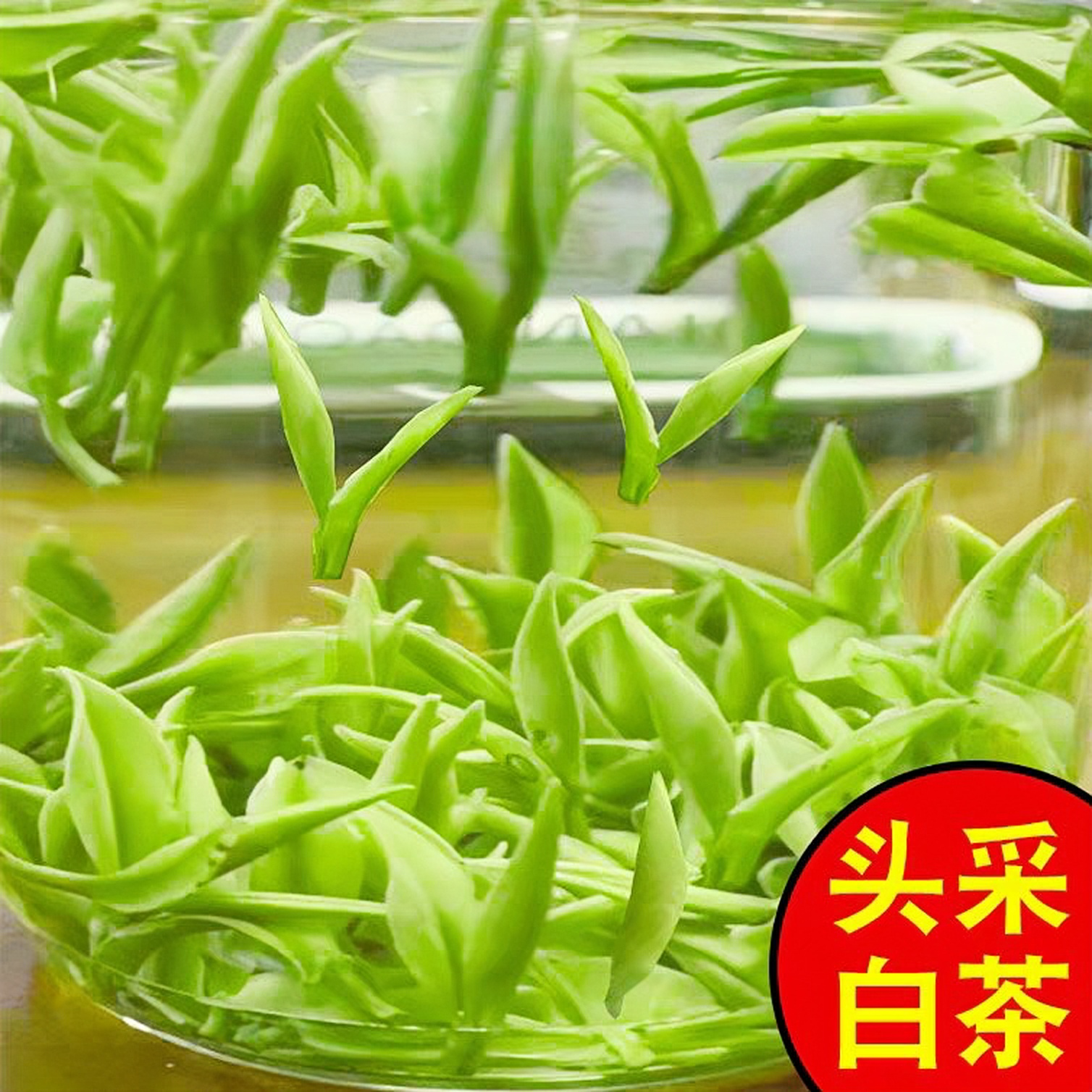 2025年新茶明前白茶茶叶高山白茶绿茶嫩芽散装礼盒装罐装250g自喝