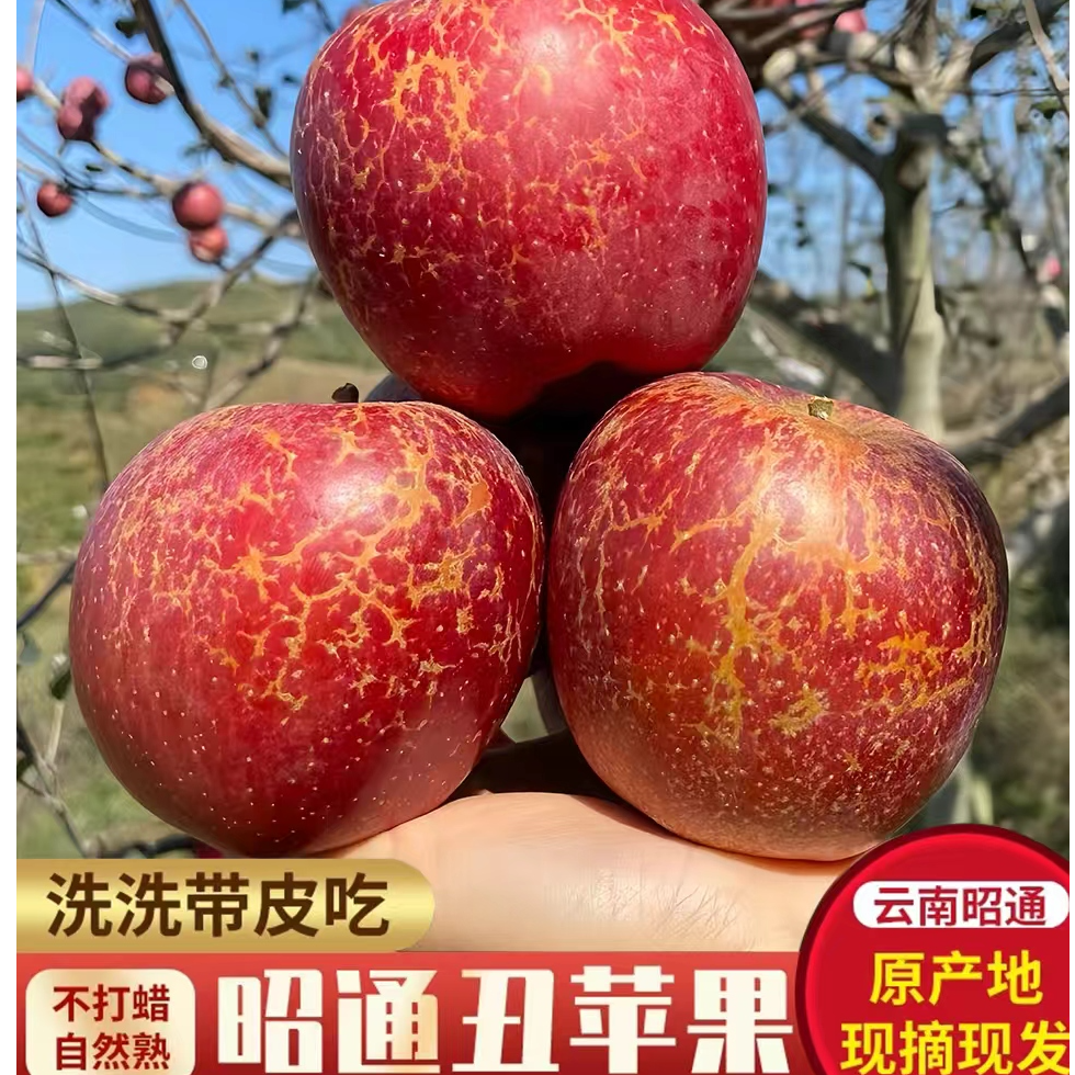 正宗云南昭通冰糖心丑苹果应季新鲜水果脆甜多汁现摘现发产地直发