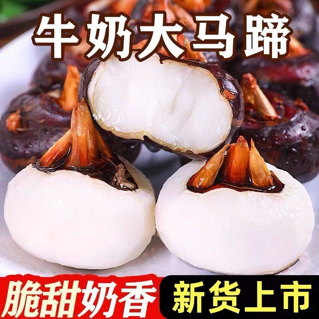 广西桂林荔浦水果马蹄新鲜现挖红皮马蹄5斤荸荠清甜脆爽多汁水果