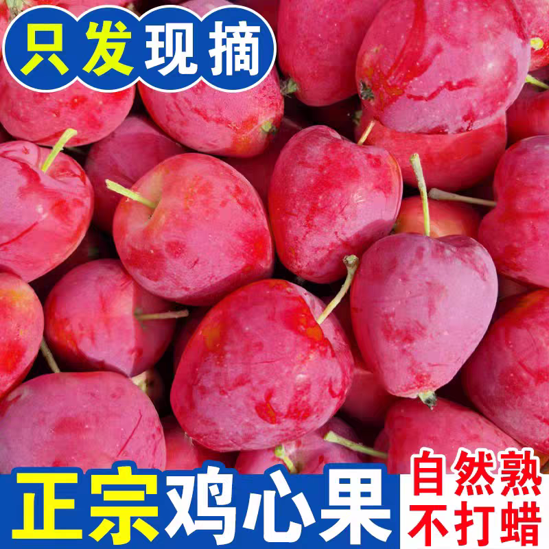 东北鸡心果锦绣海棠酸甜可口脆多汁水分足1斤 3斤 5斤 包邮