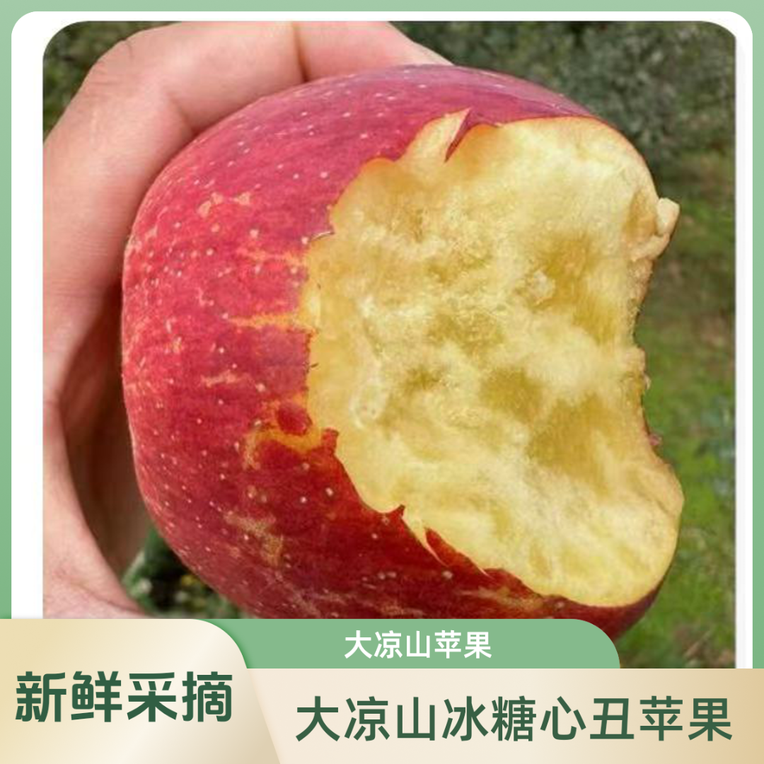 大凉山丑苹果冰糖心新鲜当季水果现摘现发脆甜多汁红富士5/8斤