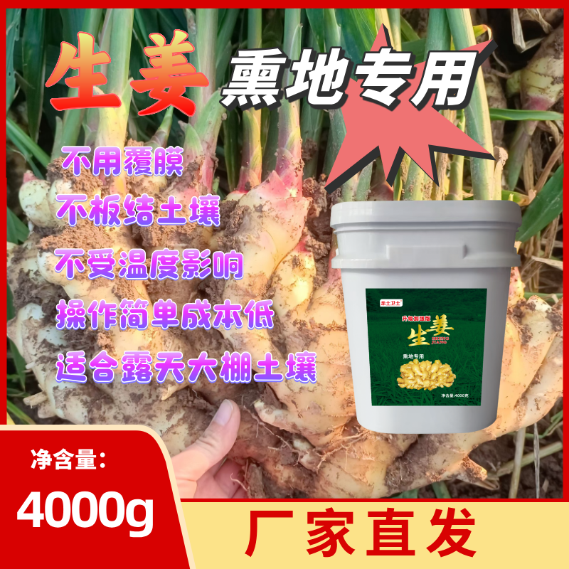 生姜熏地专用  预防根腐死棵烂脖子姜瘟 正品农用