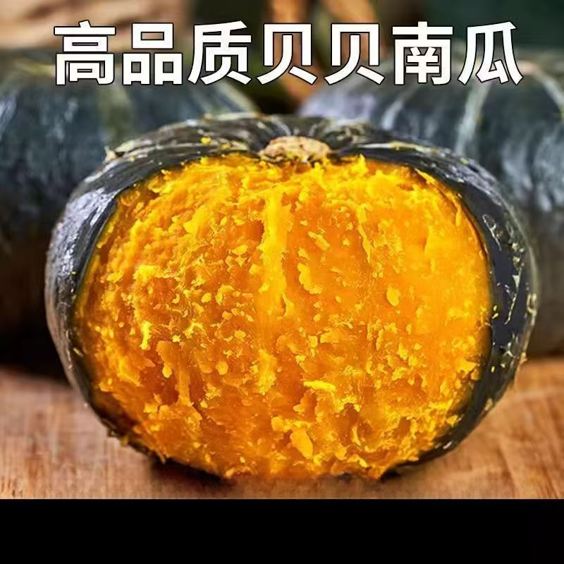 正宗贝贝小南瓜粉糯香甜板栗味适合孕妇宝宝辅食新鲜蔬菜