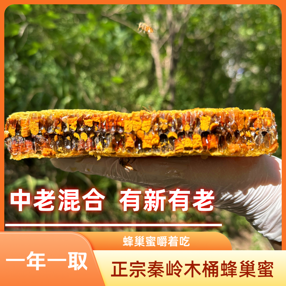 【野生蜂巢蜜满盒装】正宗秦岭天然木桶土蜂巢一年一取五倍子蜂蜜