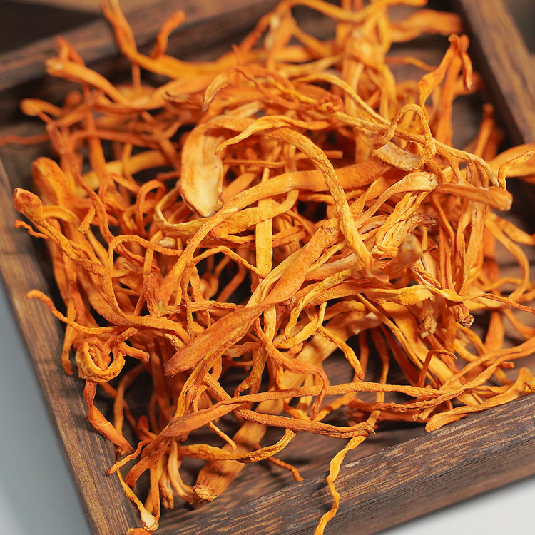 虫草花蛹虫草云南特产菌菇农家干货炖汤食材虫草花