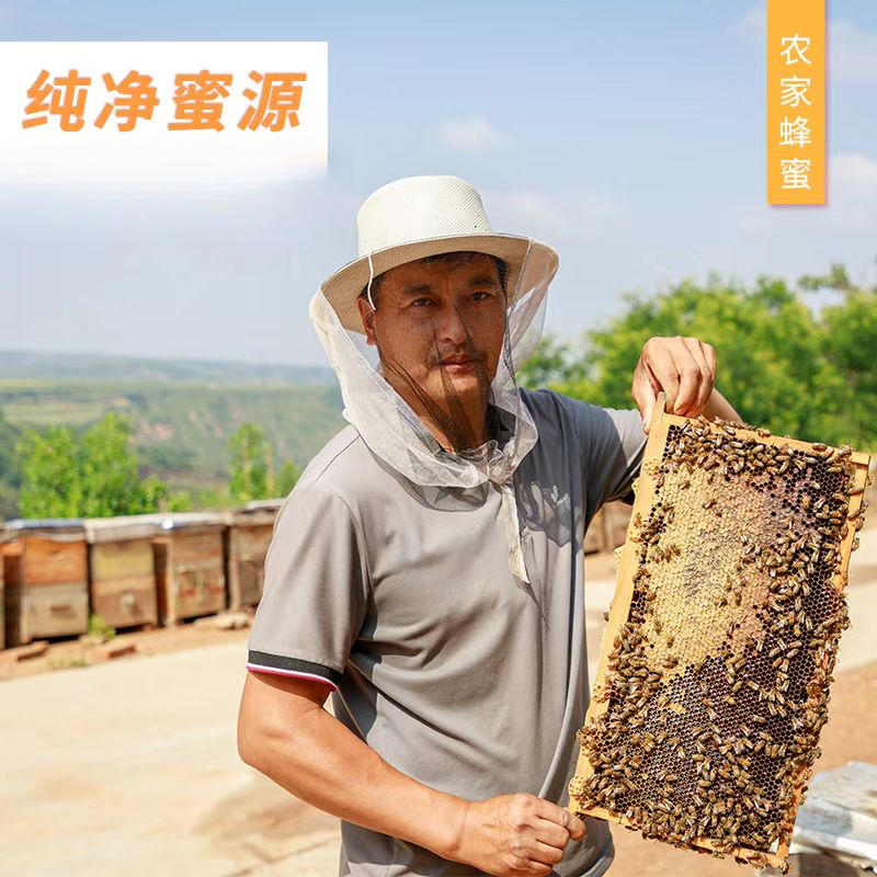 【乡遇供销】纯净蜜源原生态无添加无污染纯净百花蜜、野生酸枣蜜