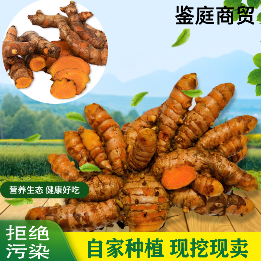 姜黄新鲜现挖广西野生小黄姜月子姜老姜产后姜黄现挖2斤-5斤包邮