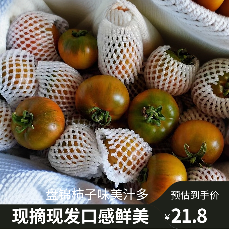 盘锦碱地柿子草莓柿子铁皮柿子老柿子番茄酸酸甜甜现摘现发