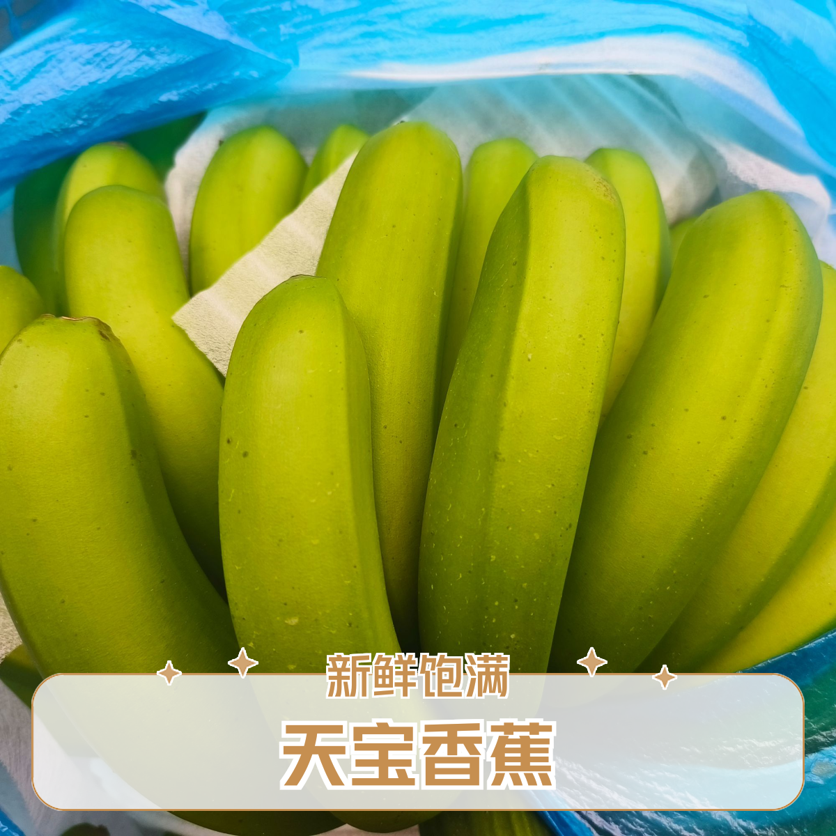 【福建天宝香蕉】大香蕉口感香甜软糯不泡药水到货需批发自行催熟