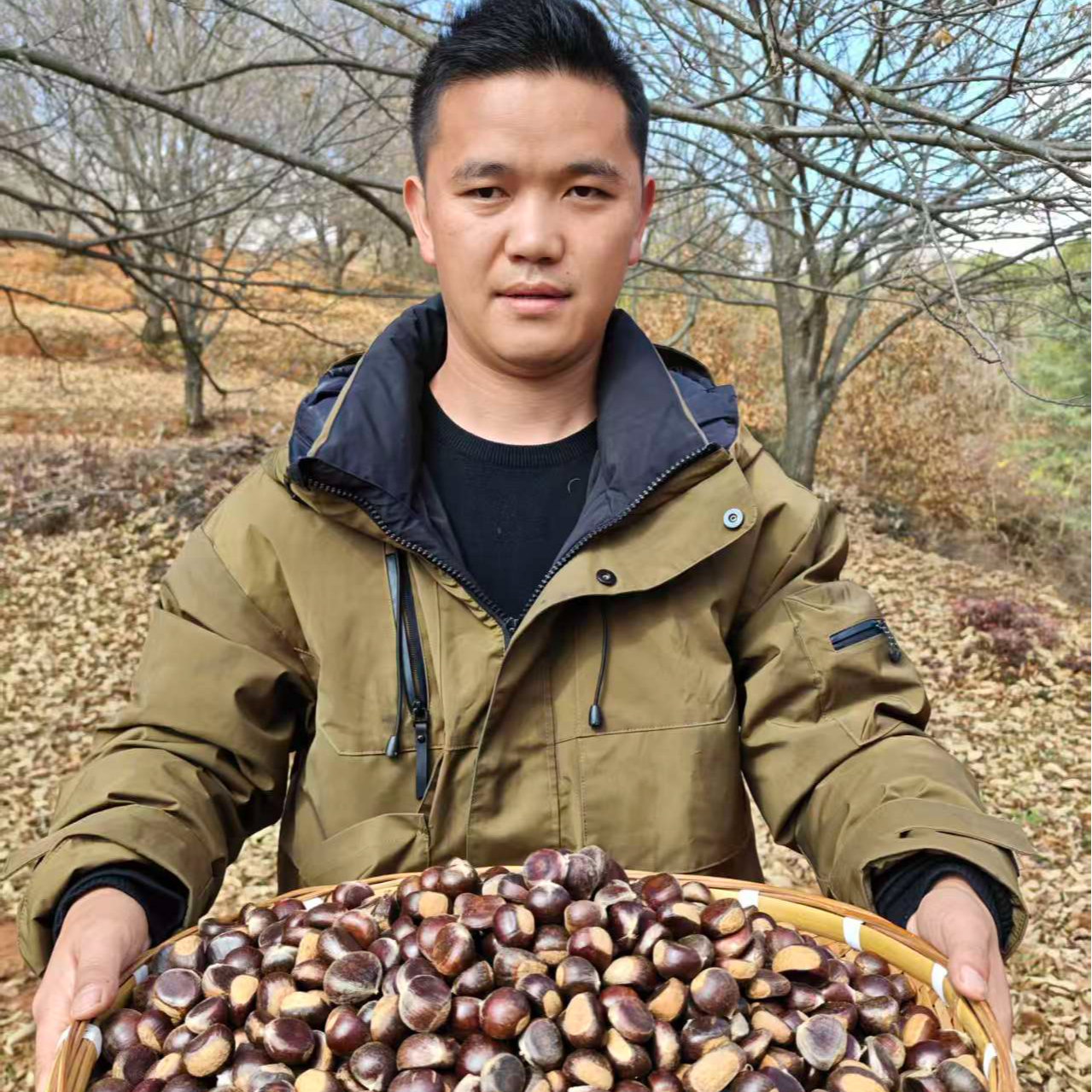 云南板栗深山新鲜老品种带壳毛栗甜糯饱满口感好4斤