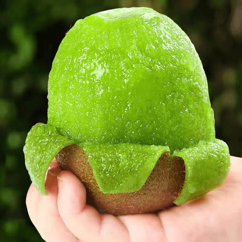 【助农生鲜】陕西秦岭徐香猕猴桃香甜多汁产地直销多规格装