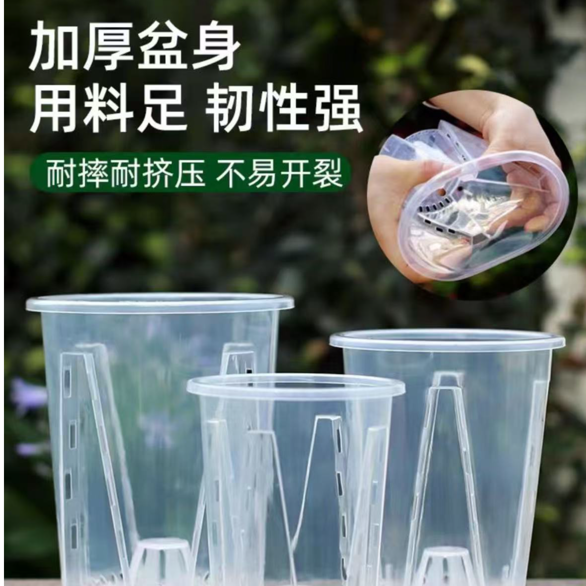 透明兰花盆蝴蝶兰专用控根盆兰科植物通用养根爆根盆透水透气