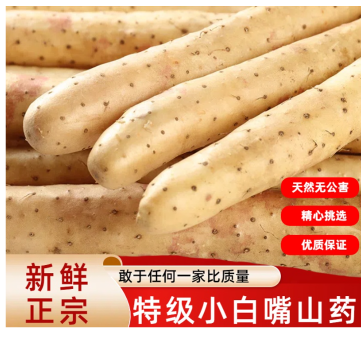 【头茬】河北小白嘴山药4.5斤装软糯香甜河北特产原产地发货