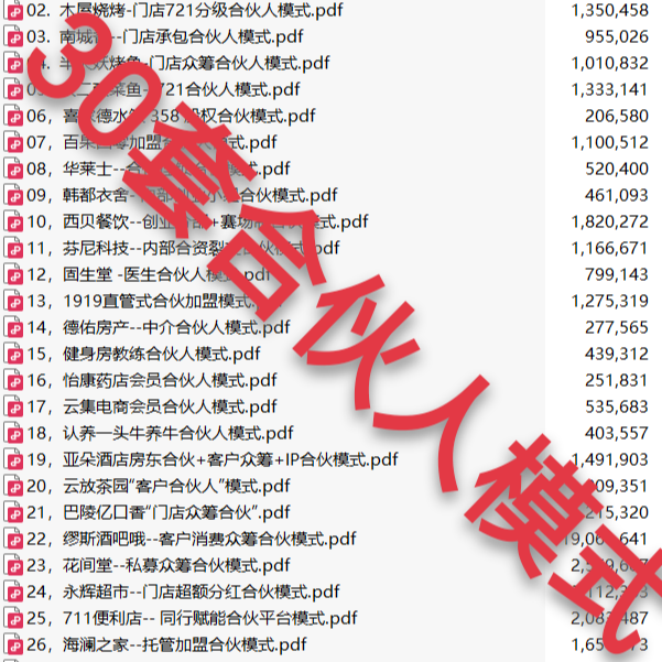 30个合伙人模式案例