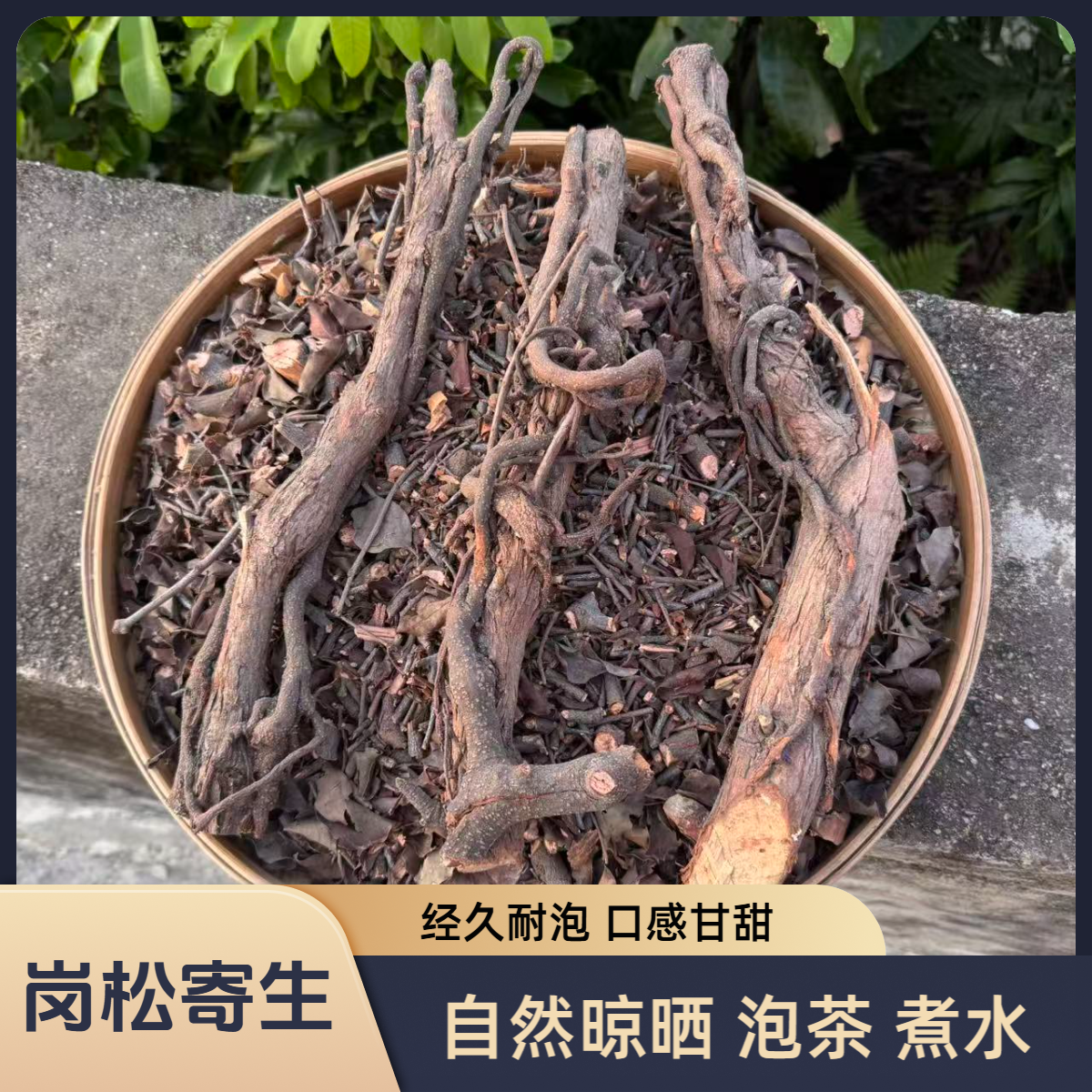 岗松寄生 自然晾晒 山松柏鸡儿松扫把枝寄生茶