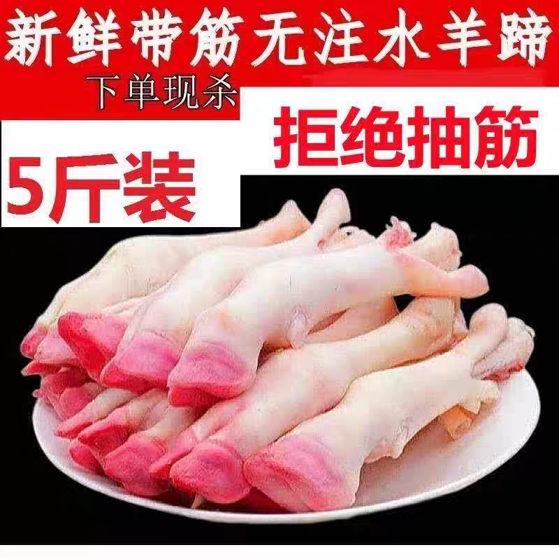 新鲜白羊蹄农家羔羊蹄带筋山羊蹄绵羊蹄羊脚冷冻羊蹄去毛羊蹄批发