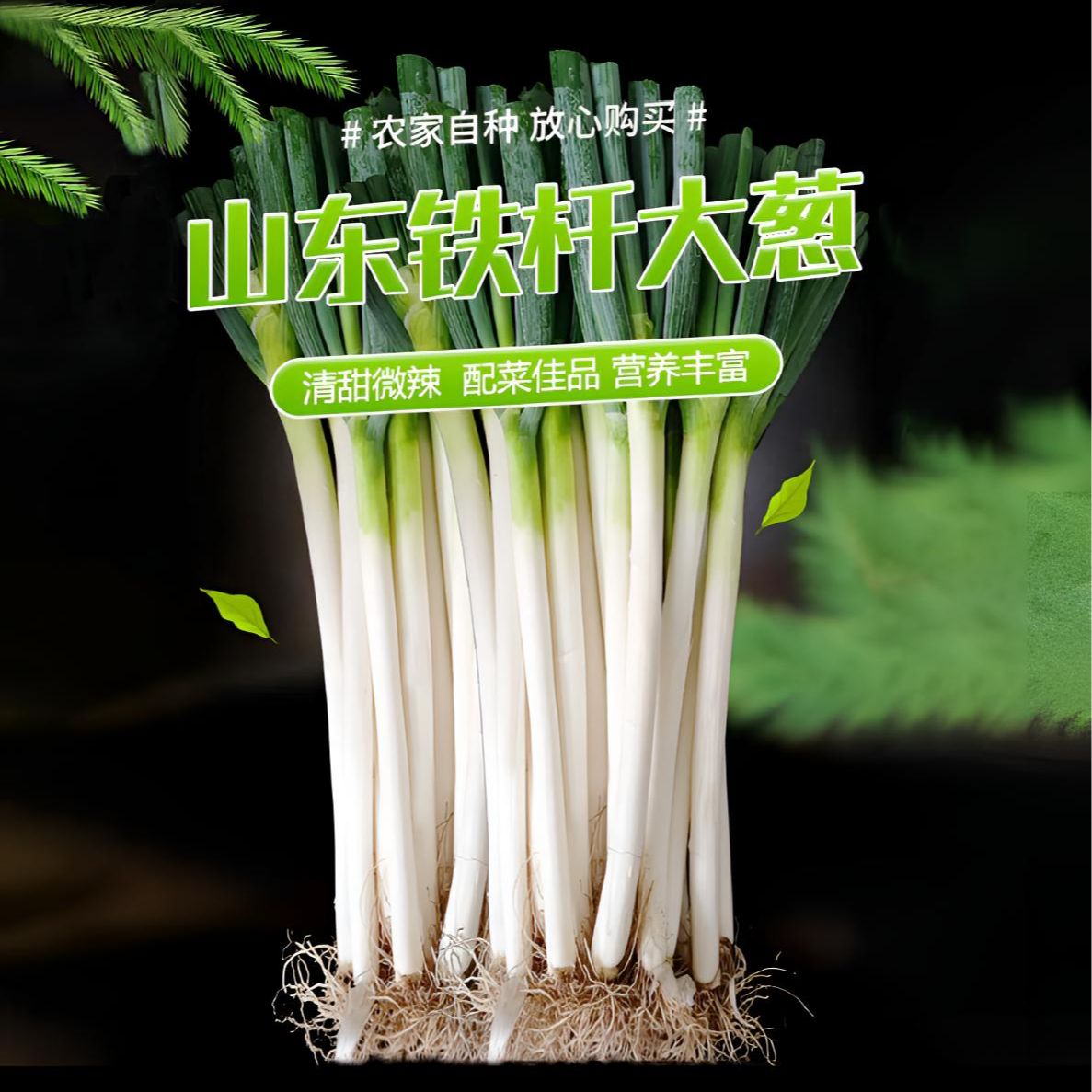 25年自家山东大葱现挖现发农家自种铁杆大葱产地只发生吃蘸酱