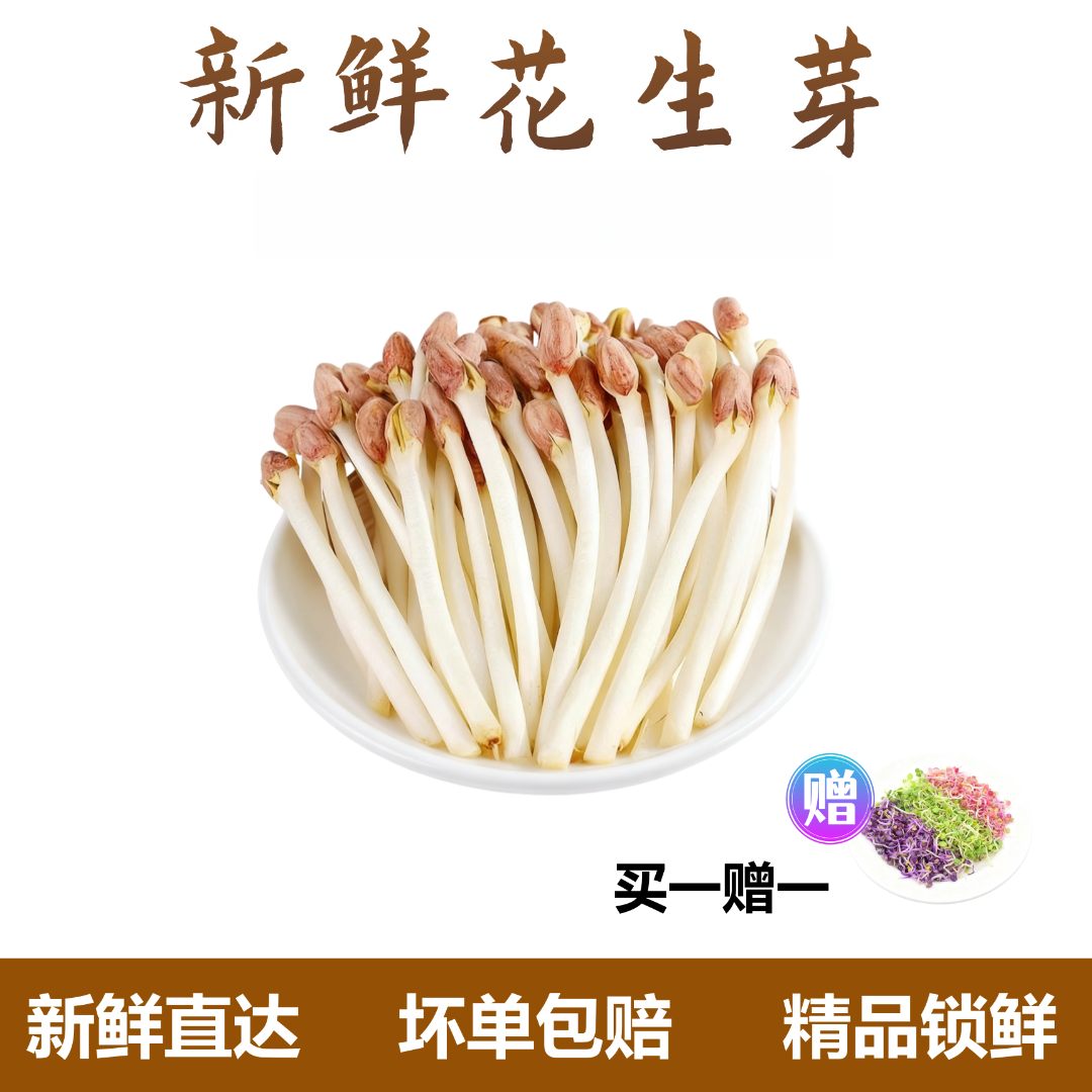 【买一赠一】新店福利现摘现发新鲜花生芽嫩香蔬菜花生苗菜酒店美食