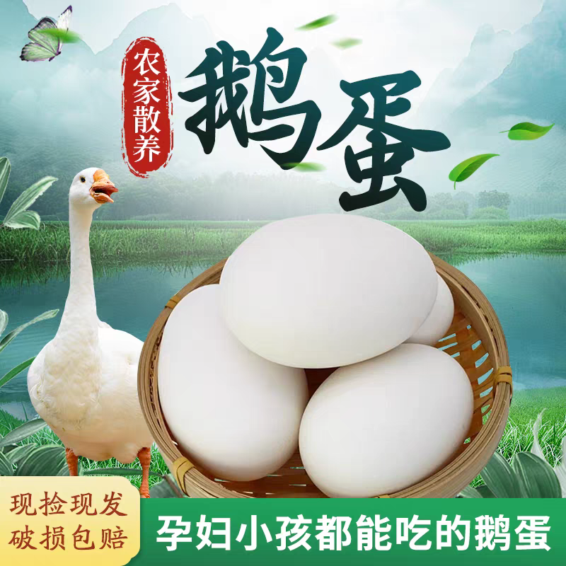 20枚农家散养新鲜土雁鹅蛋现捡现发正宗特产适合孕妇宝宝