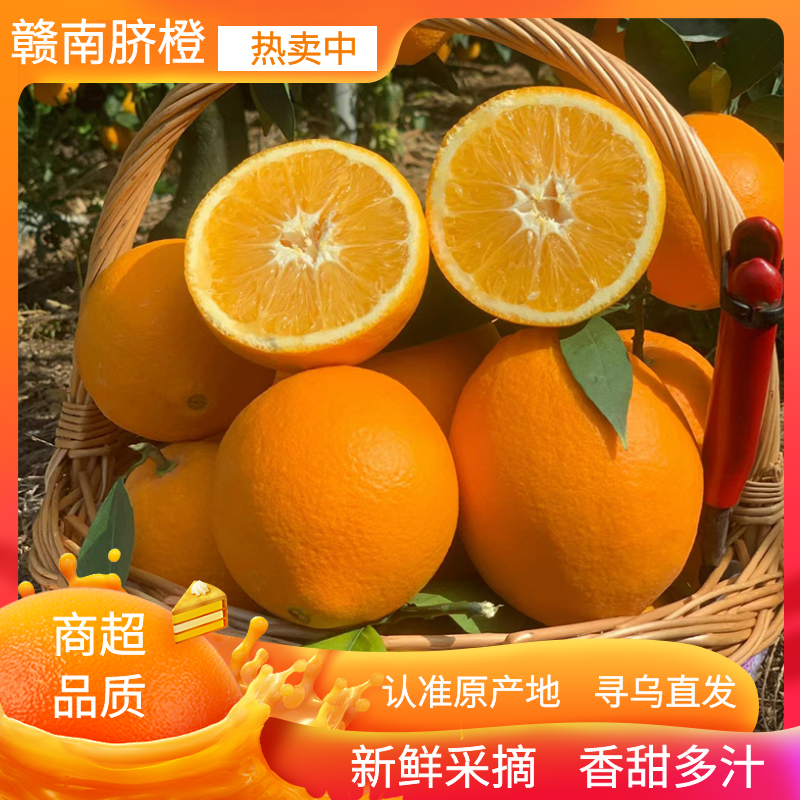 橙子（正宗赣南脐橙）赣州产地直发新鲜现摘应季水果