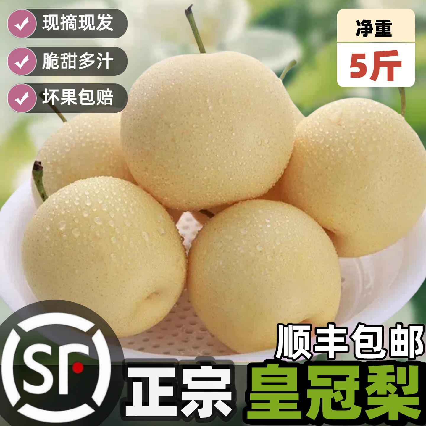 【顺丰包邮】5斤皇冠梨脆甜多汁水果产地直发当季新鲜梨子整箱批发