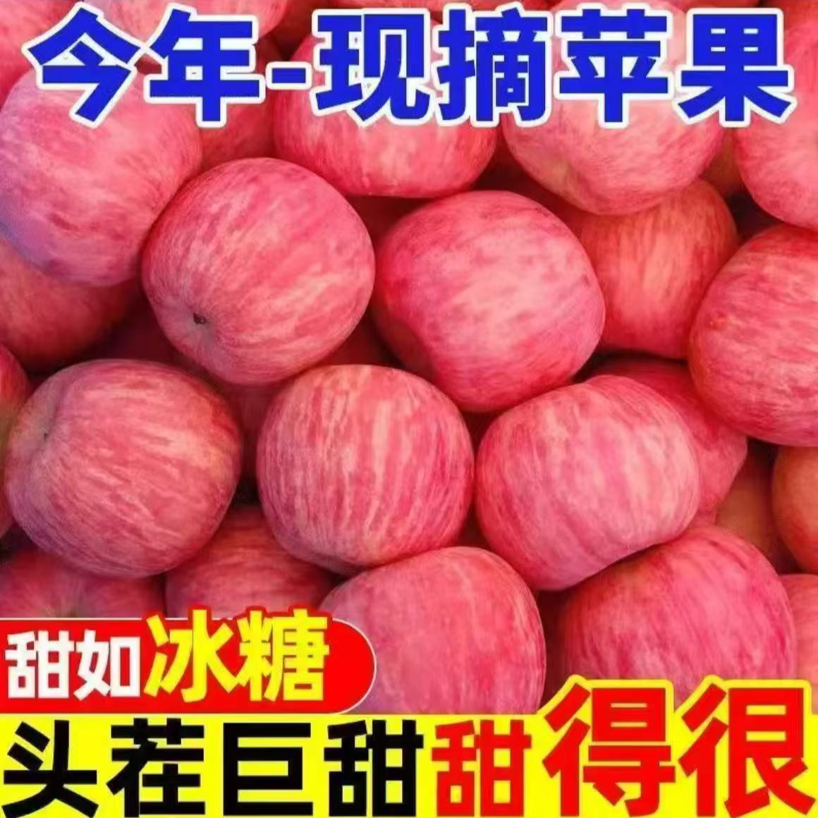 陕西正宗高原红富士苹果脆甜多汁应季水果冰糖心水果