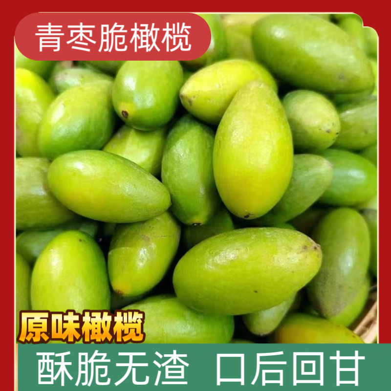 潮汕特产新鲜青橄榄可生吃煲汤泡茶的美味水果青枣脆橄榄500克