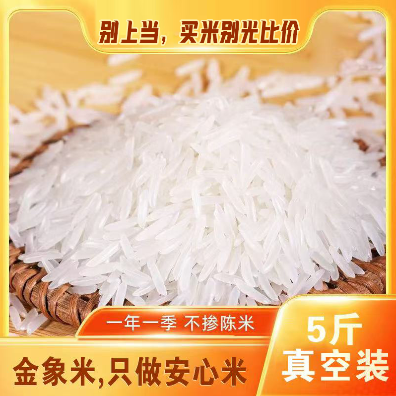 【不满意包退】香糯长粒猫牙米新香米 5斤真空装 富贵春金象大米