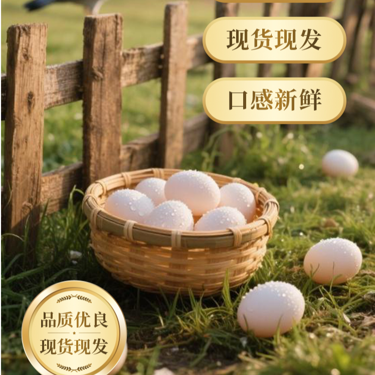 农家精选散养杂粮鸽子蛋  当天鲜蛋  鸽场直发 顺丰包邮 美味健康