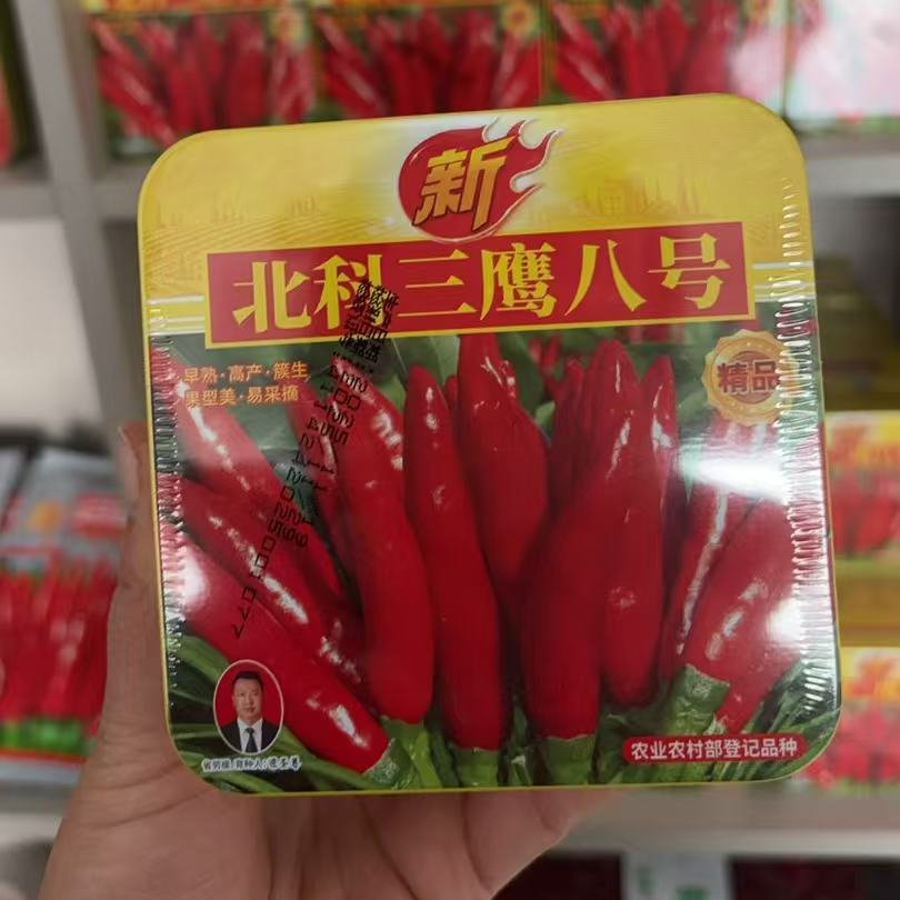 北科三鹰八号辣椒种子盒装