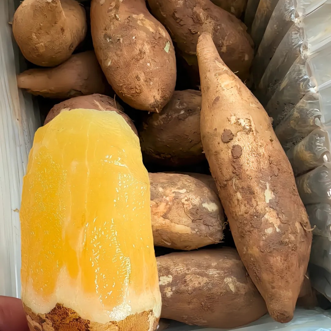 【2025头茬】云南天山雪莲果红泥沙地现挖现发脆甜多汁新鲜水果