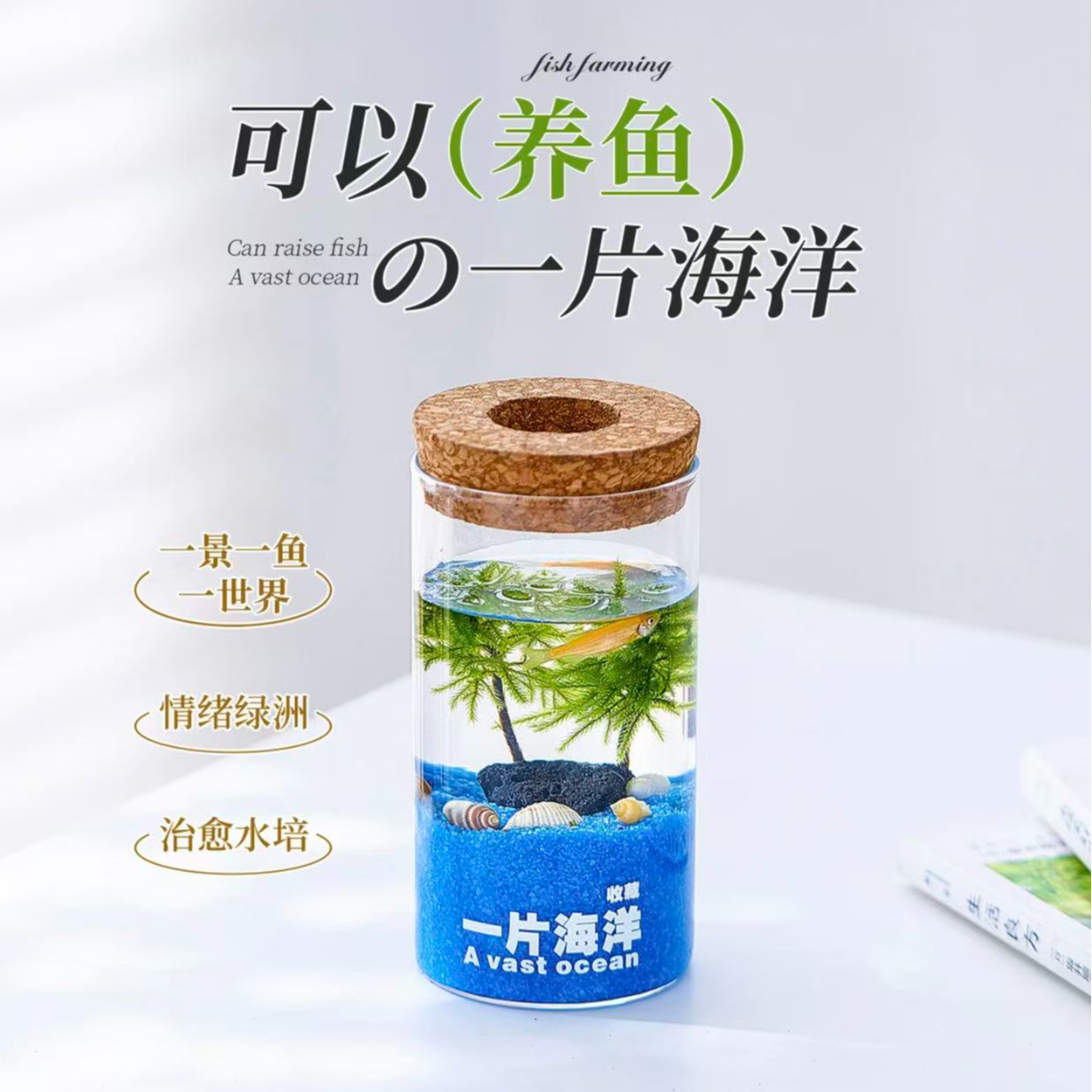 [工位新宠]万年藓绿植好养易活办公室桌面创意摆件可养鱼小礼品