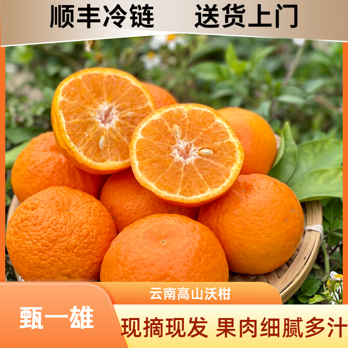 【顺丰冷链】正宗云南高原沃柑宾川橘子新鲜采摘现发多汁柑橘桔子
