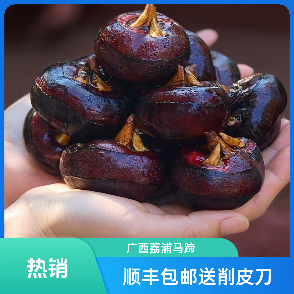 【顺丰包邮下单送削皮刀】荔浦新鲜马蹄荸荠水果马蹄3斤5斤(不够甜）