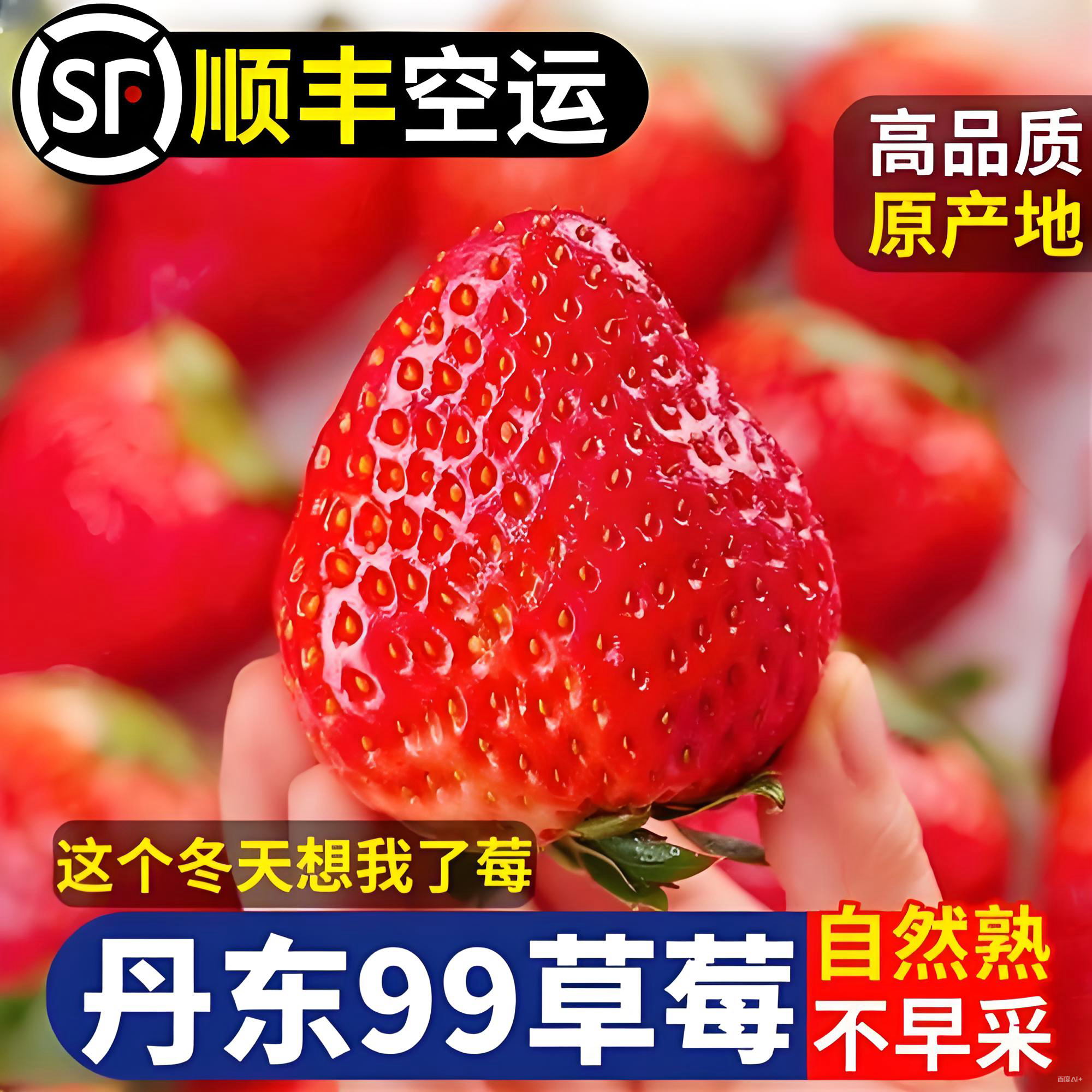 {大果}正宗丹东九九草莓现摘现发