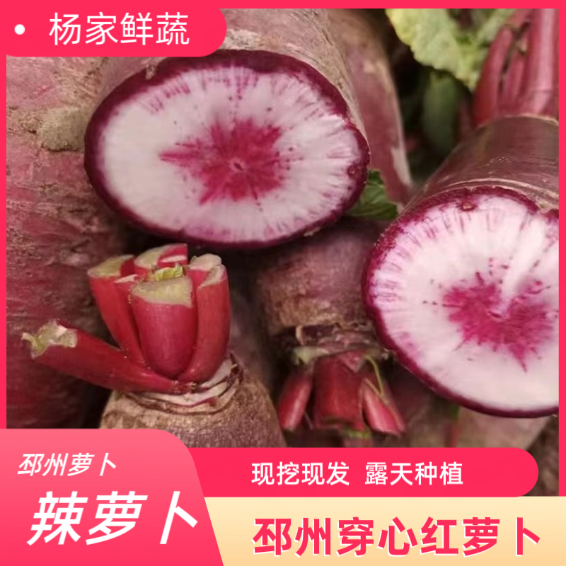【5.5斤装】 新鲜穿心红萝卜现拔现发邳州本地红皮水果萝卜辣萝卜