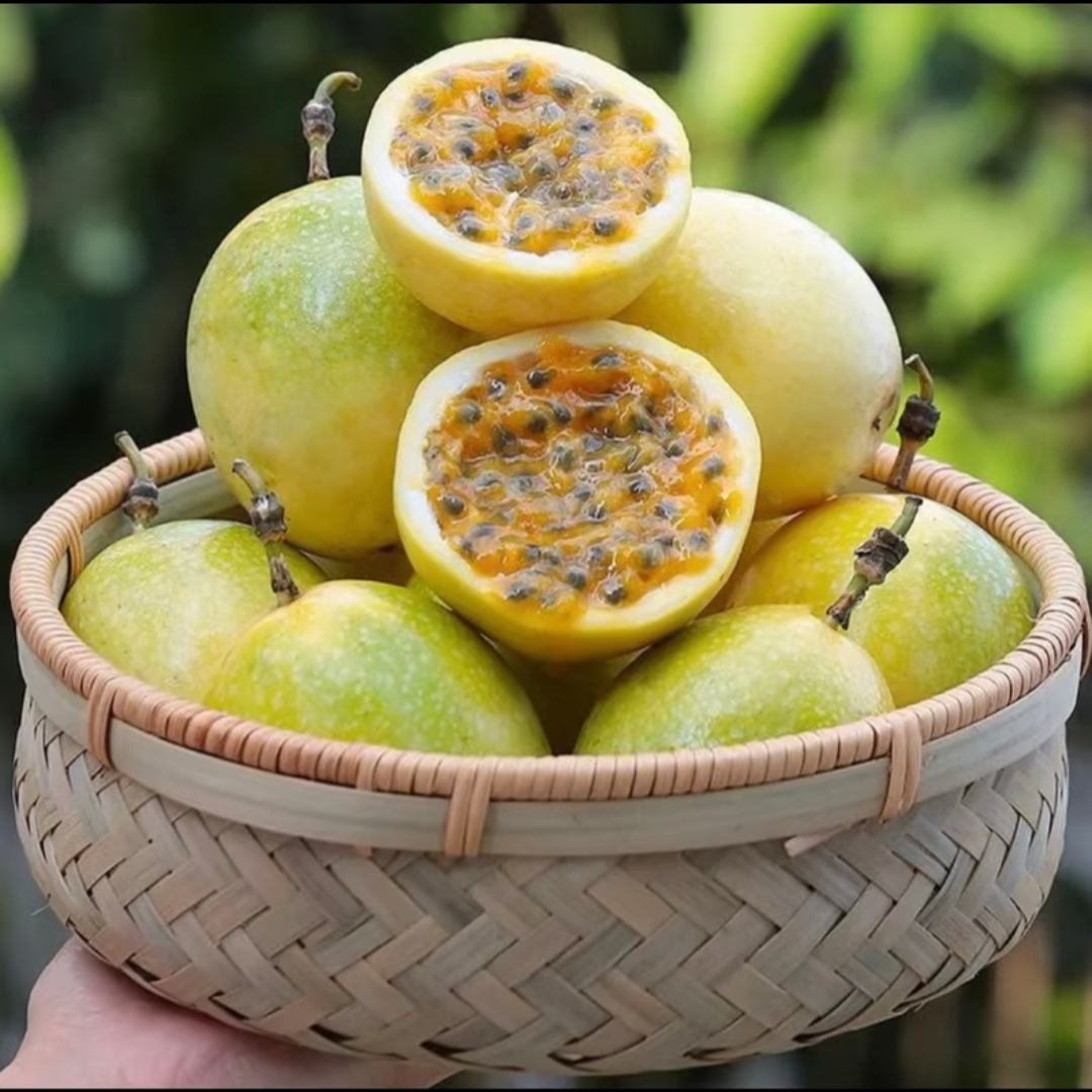 【黄金百香果】新鲜水果酸甜多汁果园直发广西云南多仓发货