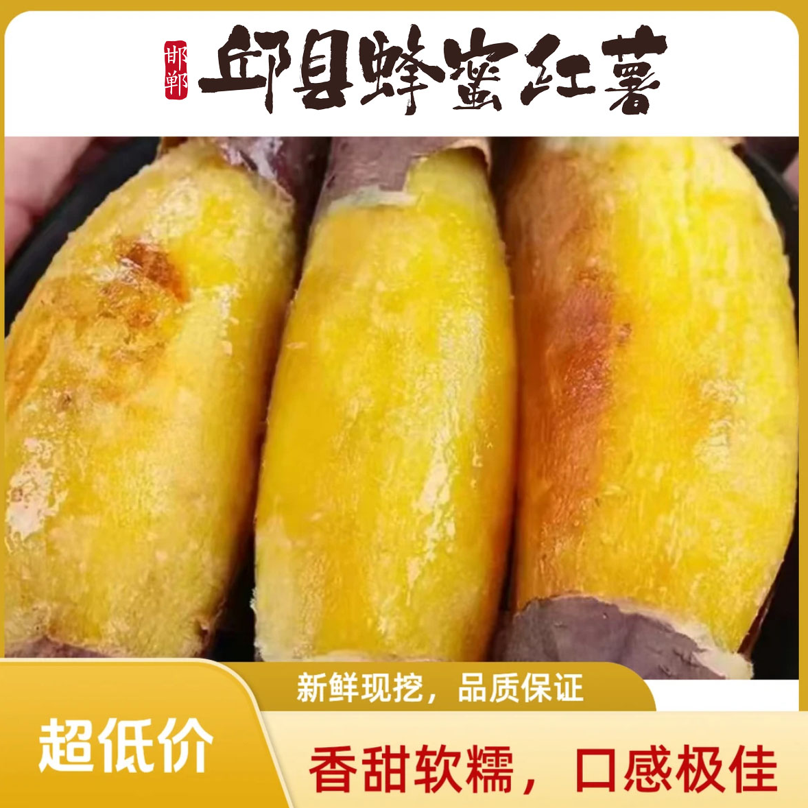 卫强红薯番薯正宗(邱县蜂蜜蜜薯农产品红薯)