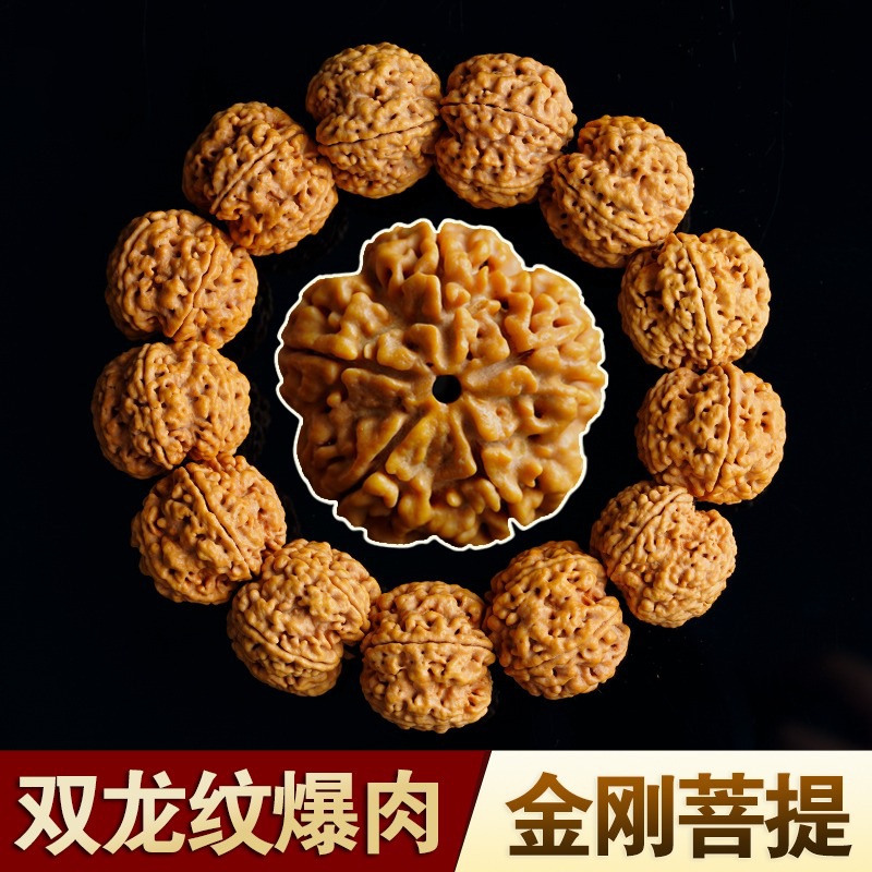 尼泊尔大金刚菩提手串肉纹爆满双龙梅花桩盘玩佛珠男手链