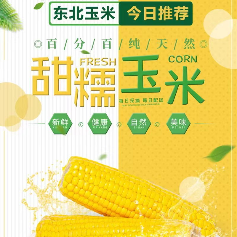 【小亮助农】高端铝箔正宗东北黄糯玉米240g/根*8根+送2根