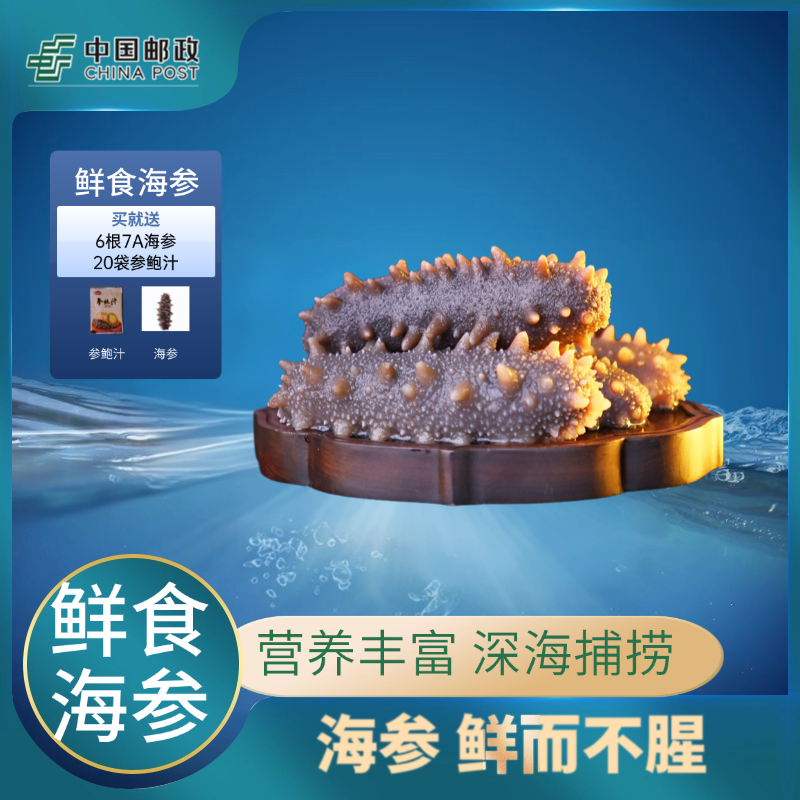 【邮政农品】鲜蒸开袋即食海参礼盒送礼独立包装