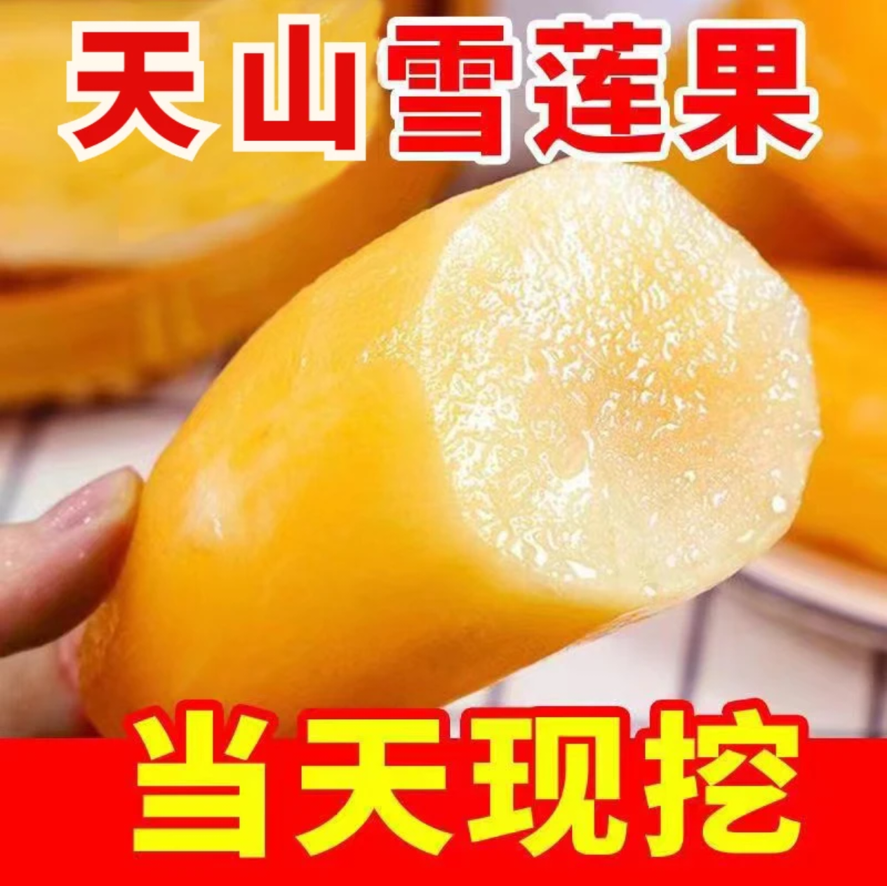 （商福5）云南天山雪莲果现挖现发当季孕妇水果美味清甜多汁1-9斤