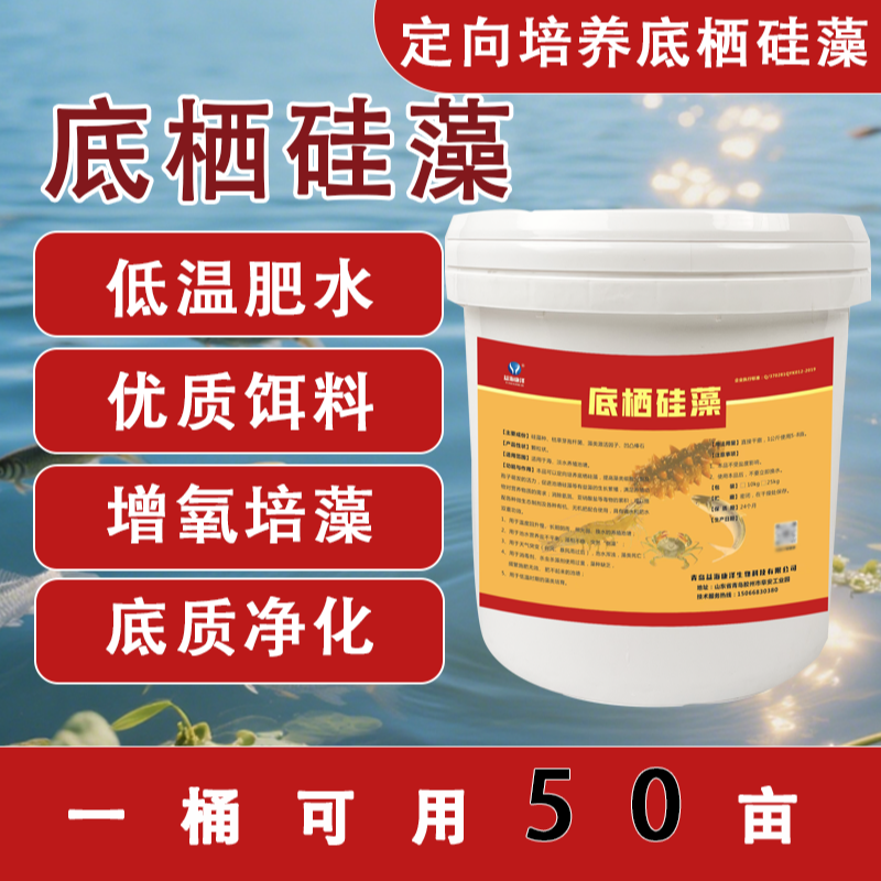 底栖硅藻水产养殖鱼虾蟹肥水培藻优质饵料