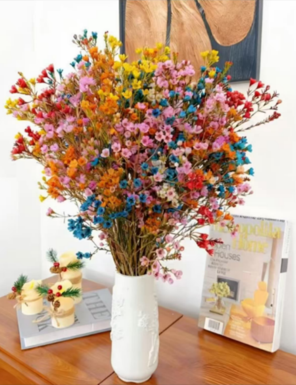 鲜切澳洲腊梅年宵花云南基地直发室内摆放送营养液