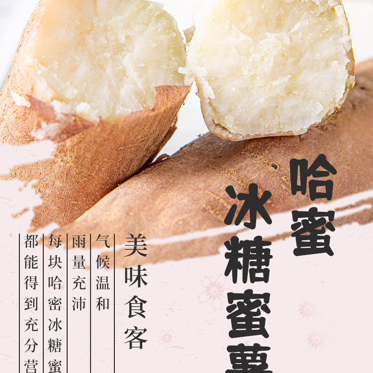 豫兰红豫兰红哈密冰糖心蜜薯农家沙土地生态种植绿色软糯清香