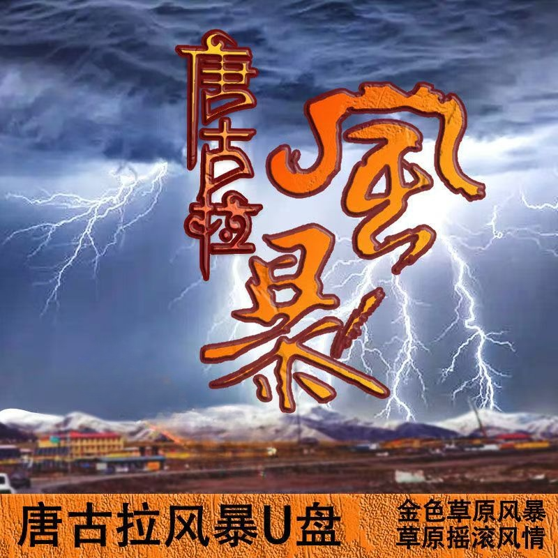 经典草原西藏歌曲DJ版唐古拉风暴全集经典汽车载MP3带视频U盘发货