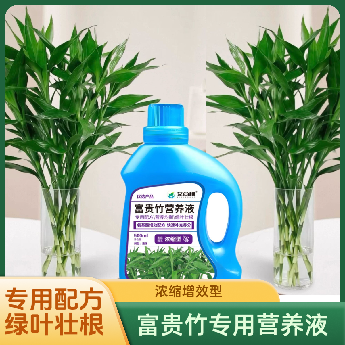 【富贵竹专用营养液】促进生根养根改善黄叶加强叶片吸收