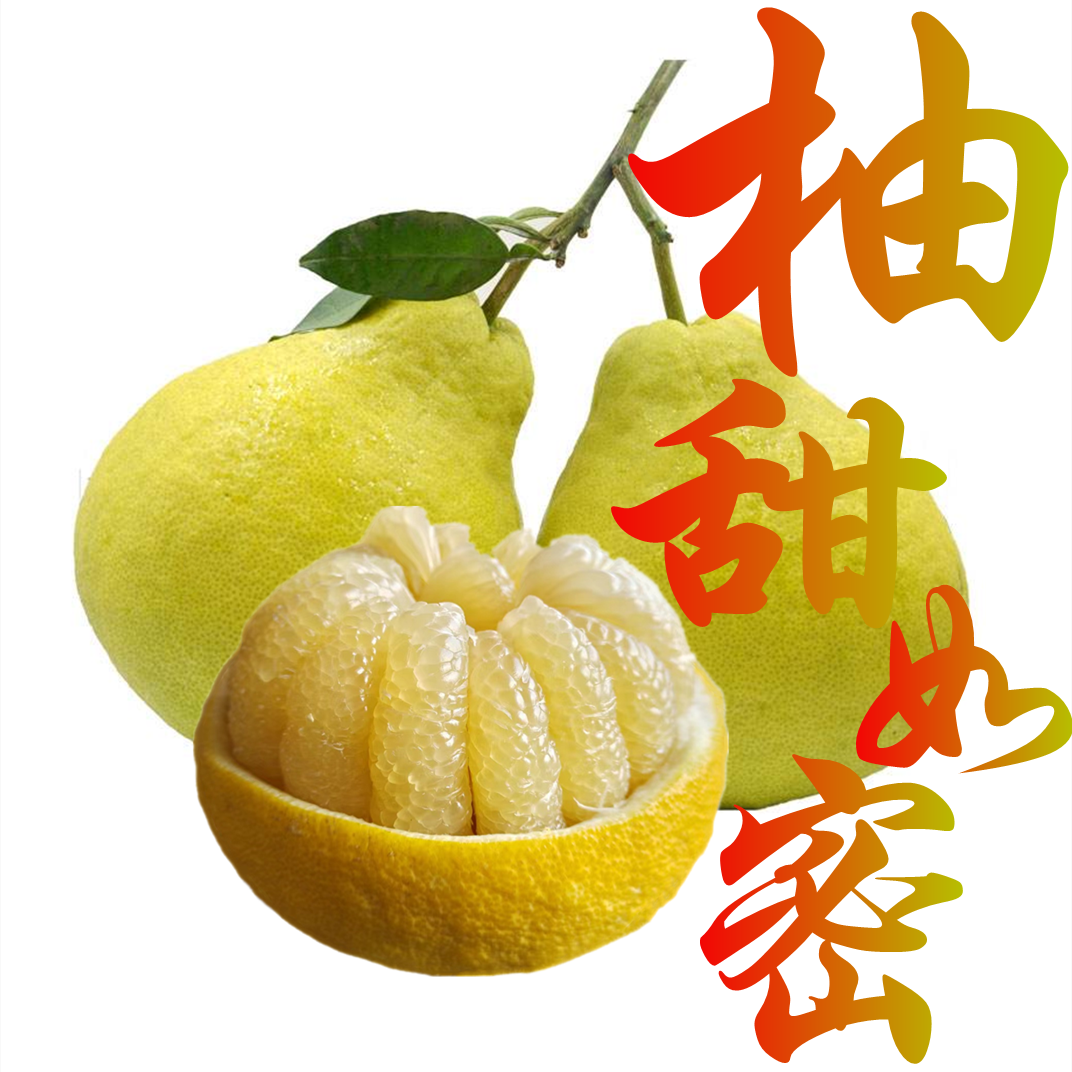 正宗合江真龙柚子果园直发纯甜非沙田柚新鲜应季包邮水果白肉蜜柚